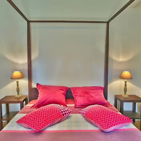 D'hotes La Premiere Vigne Bed and Breakfast Puycelci