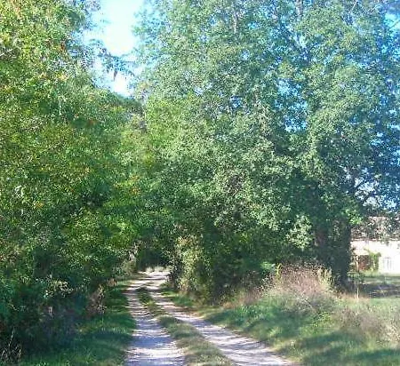 Bed and Breakfast D'hotes La Premiere Vigne Puycelci